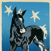Cover image of Untitled [Horse and Stars]